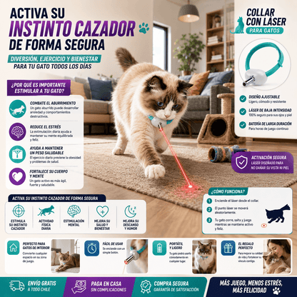 Collar Láser Interactivo para Gatos – Juego Automático 360° Recargable